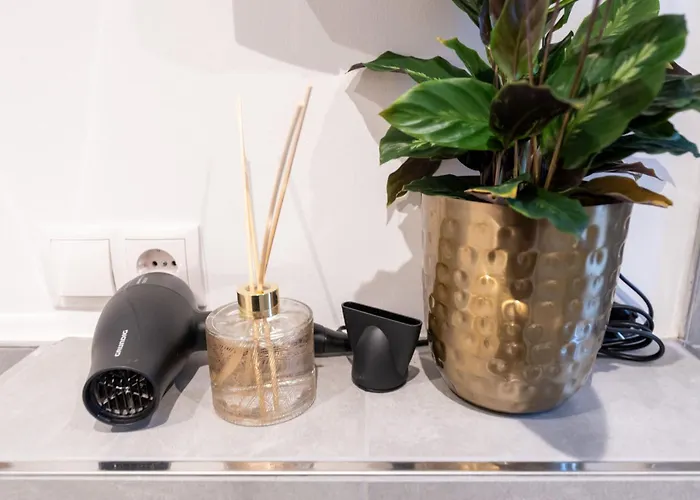 Lägenhet Loreley Am Rhein, Moderne & Vollausgestatte 40qm, Kueche, Netflix, Wm Koblenz (Rhineland-Palatinate)